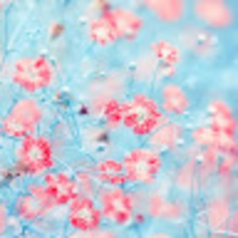 Meet your Posher, Elly